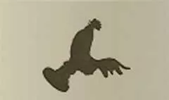 ニワトリ