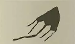 凧