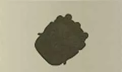 仮面