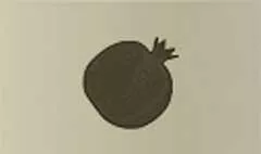ザクロ