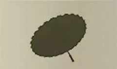 かさ