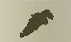 ブドウ