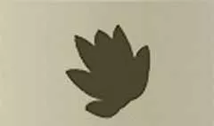 蓮