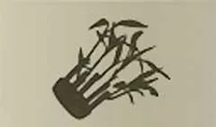 竹