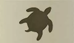 カメ