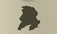 ブドウ