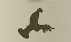 ニワトリ