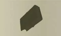 書物