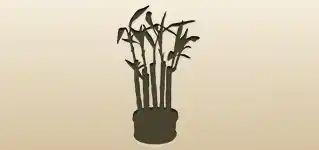 Bamboo