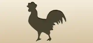 Rooster