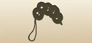 Coins