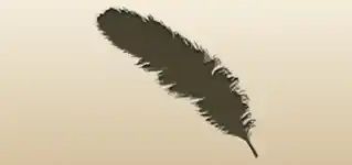 Feather