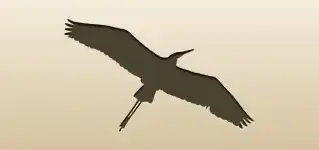 Heron
