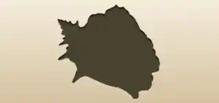 Shell