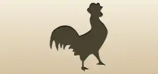 Rooster