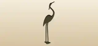 Heron
