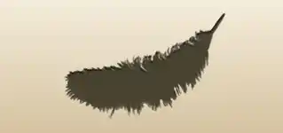 Feather