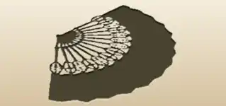 Hand Fan