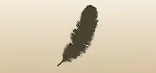 Feather