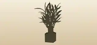 Bamboo