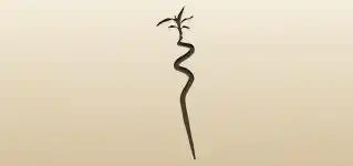 Bamboo