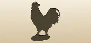 Rooster