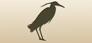 Heron
