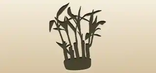 Bamboo