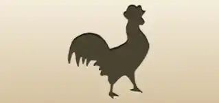 Rooster