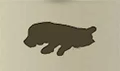 トラ