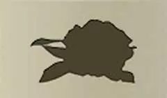 牡丹