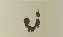 爆竹