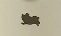 豚