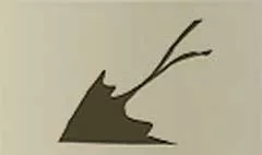 凧