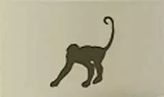 サル