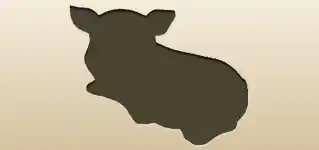 Piggy