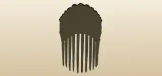 Comb