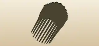Comb