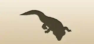 Crocodile
