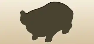 Piggy