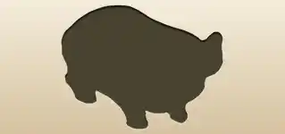 Piggy