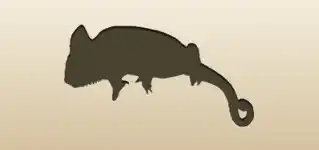 Chameleon