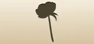 Peony