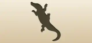 Crocodile