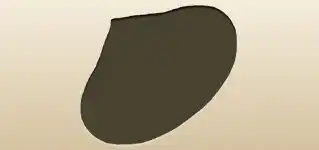 Bamboo Hat