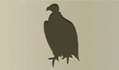 Vulture silhouette