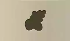 Acorns