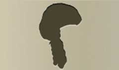 Wig silhouette