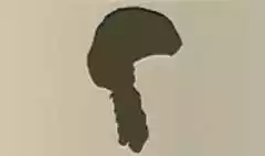 Wig