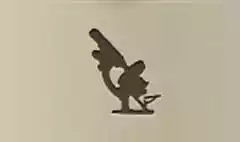 Microscope